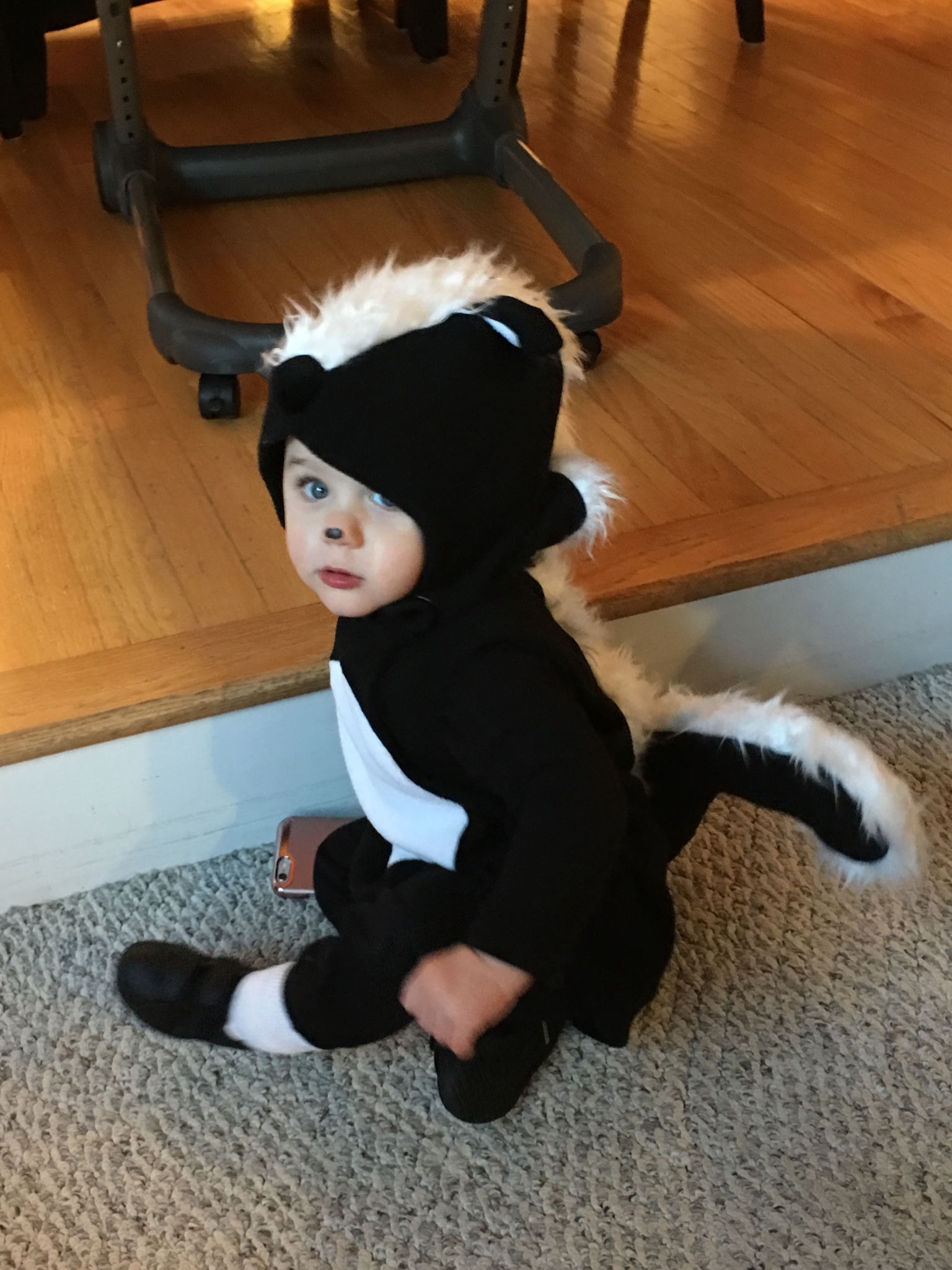 Baby Skunk Costume