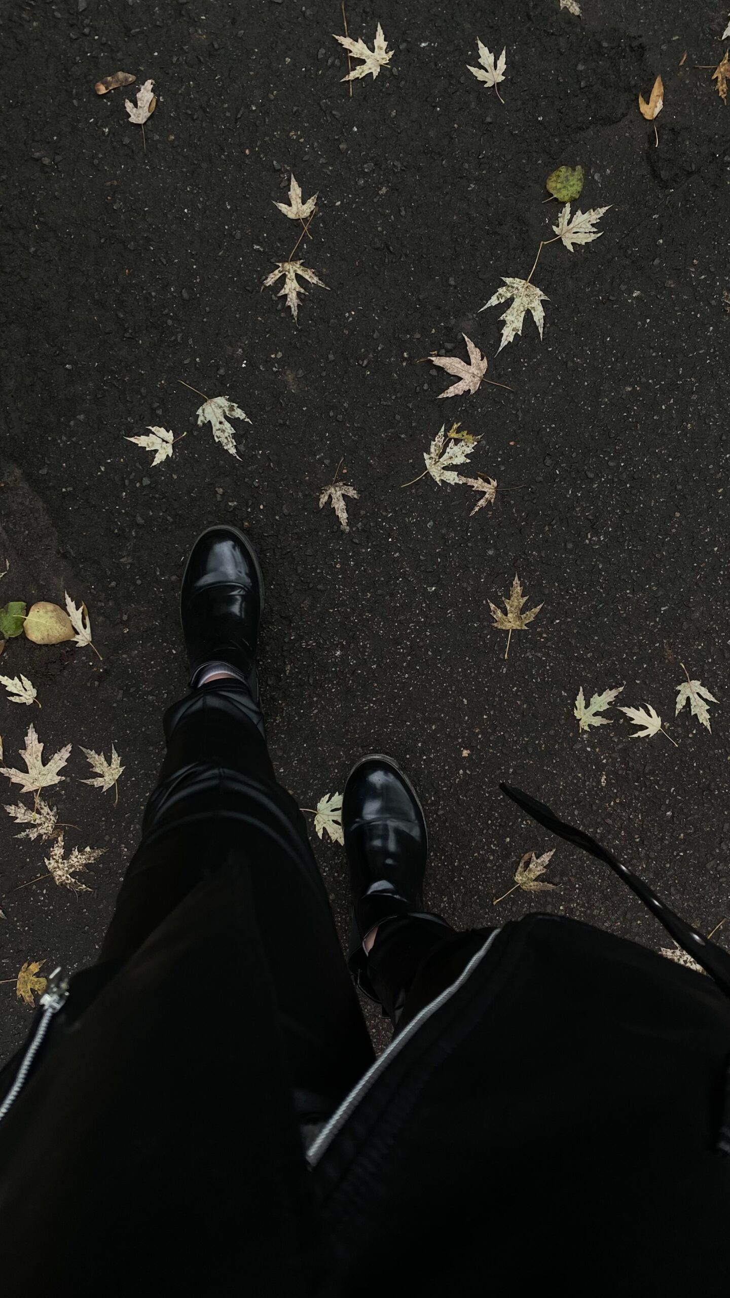 Fall fashion staples - glambytes